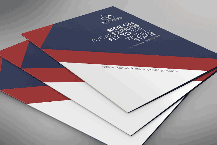 國(guó)際學(xué)校簡(jiǎn)介封套印刷  第2張