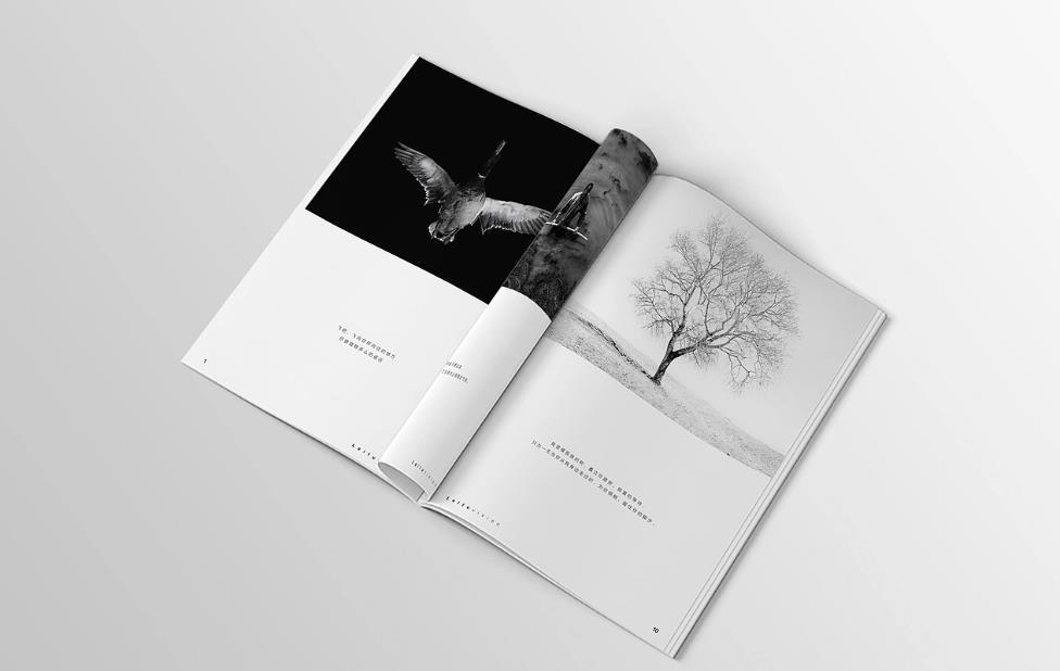 細(xì)節(jié)決定成?。荷虾Ｐ弯洰?huà)冊(cè)印刷中不容忽視的裝訂工藝