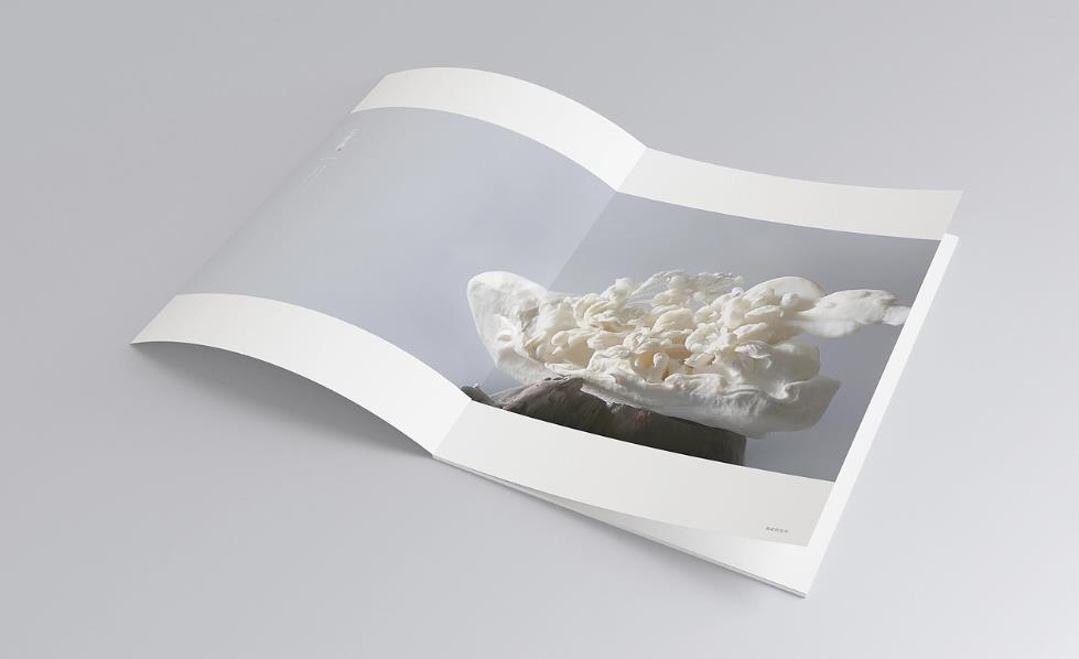 彩頁(yè)印刷常規(guī)尺寸有哪些？  第1張